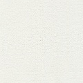 HT0031 var.10
